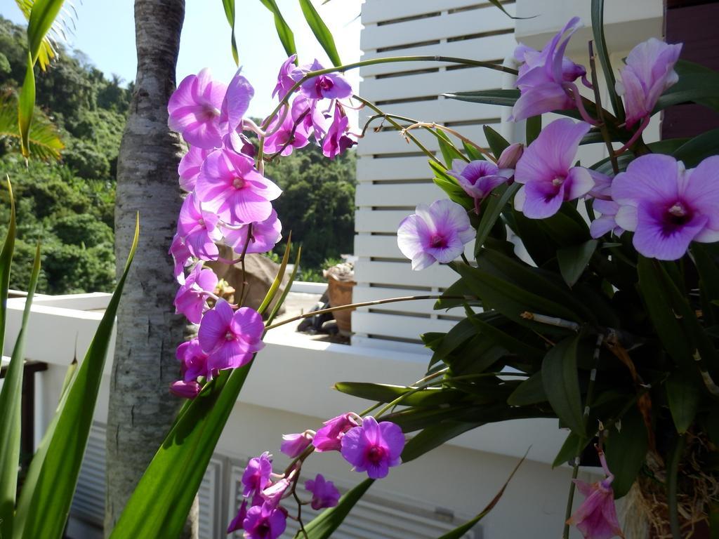 กะตะบีชสตูดิโอ Hotel หาดกะตะ ภายนอก รูปภาพ